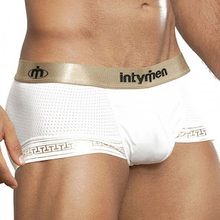 http://www.intymen.com/intymen-int5602-classic-mesh-boxer-white?utm_source=Off-Page&utm_medium=blog&utm_campaign=blogger