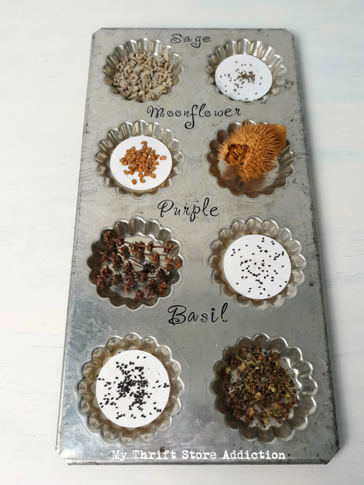 repurposed tart pan seed tray