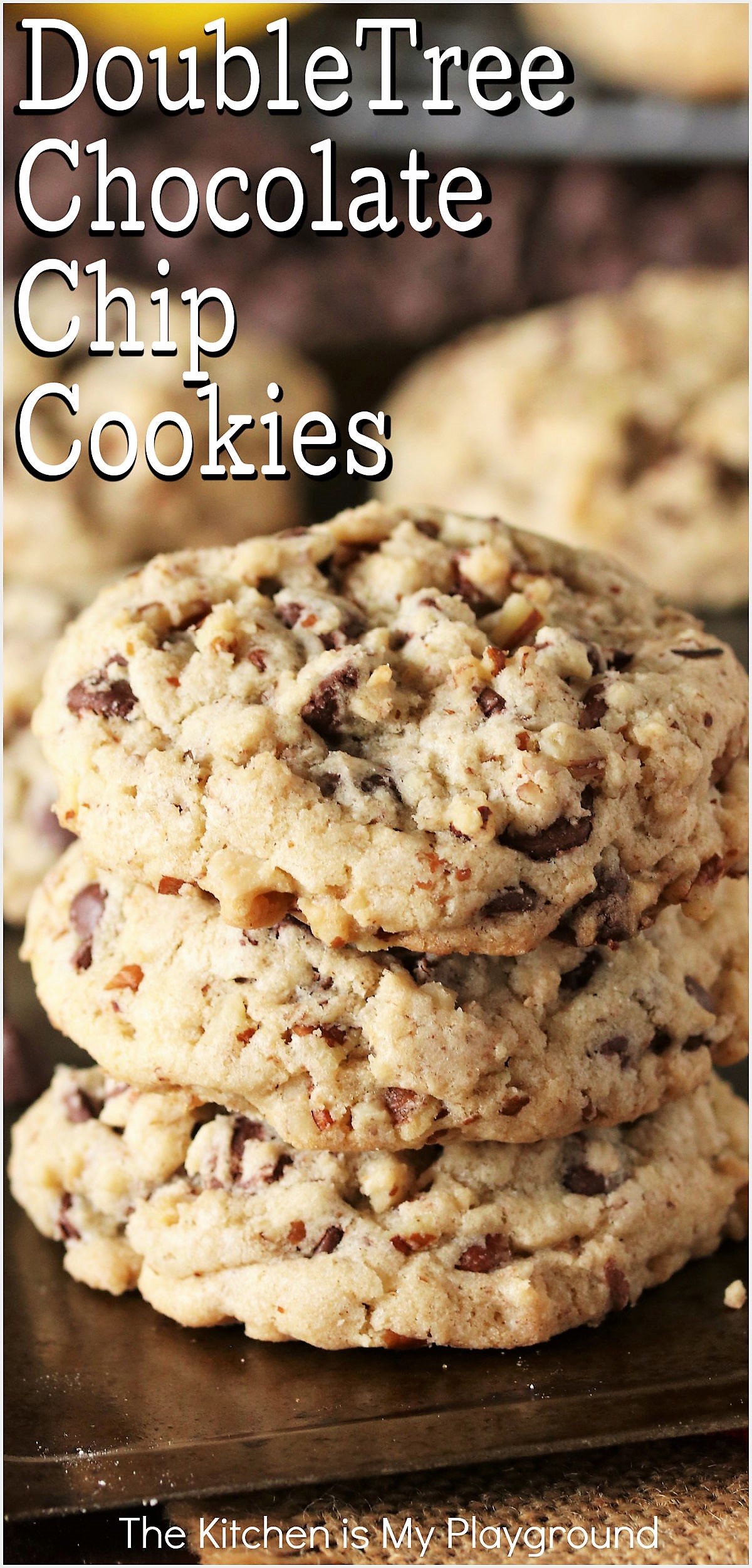 Signature DoubleTree Chocolate Chip Cookies The Kitchen is My Playground