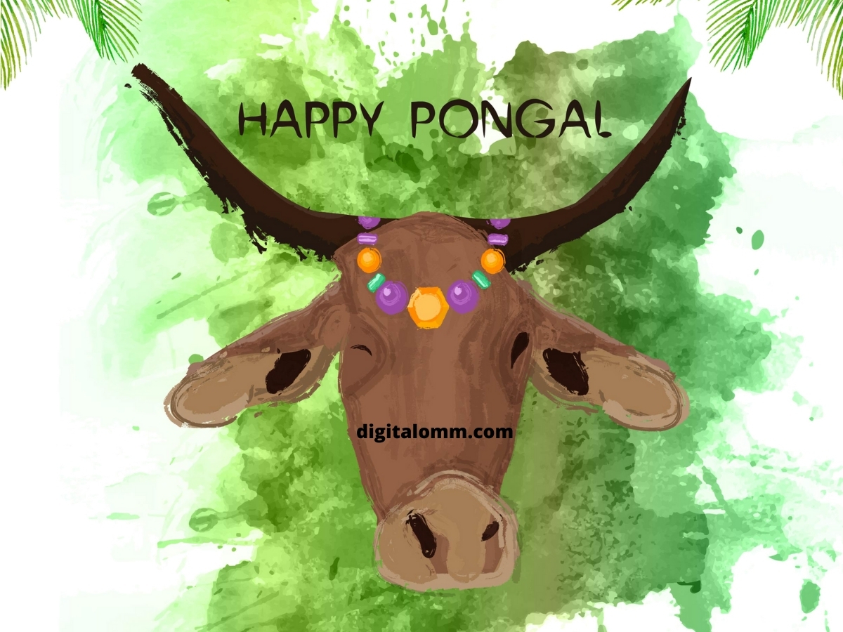 Happy Pongal Images