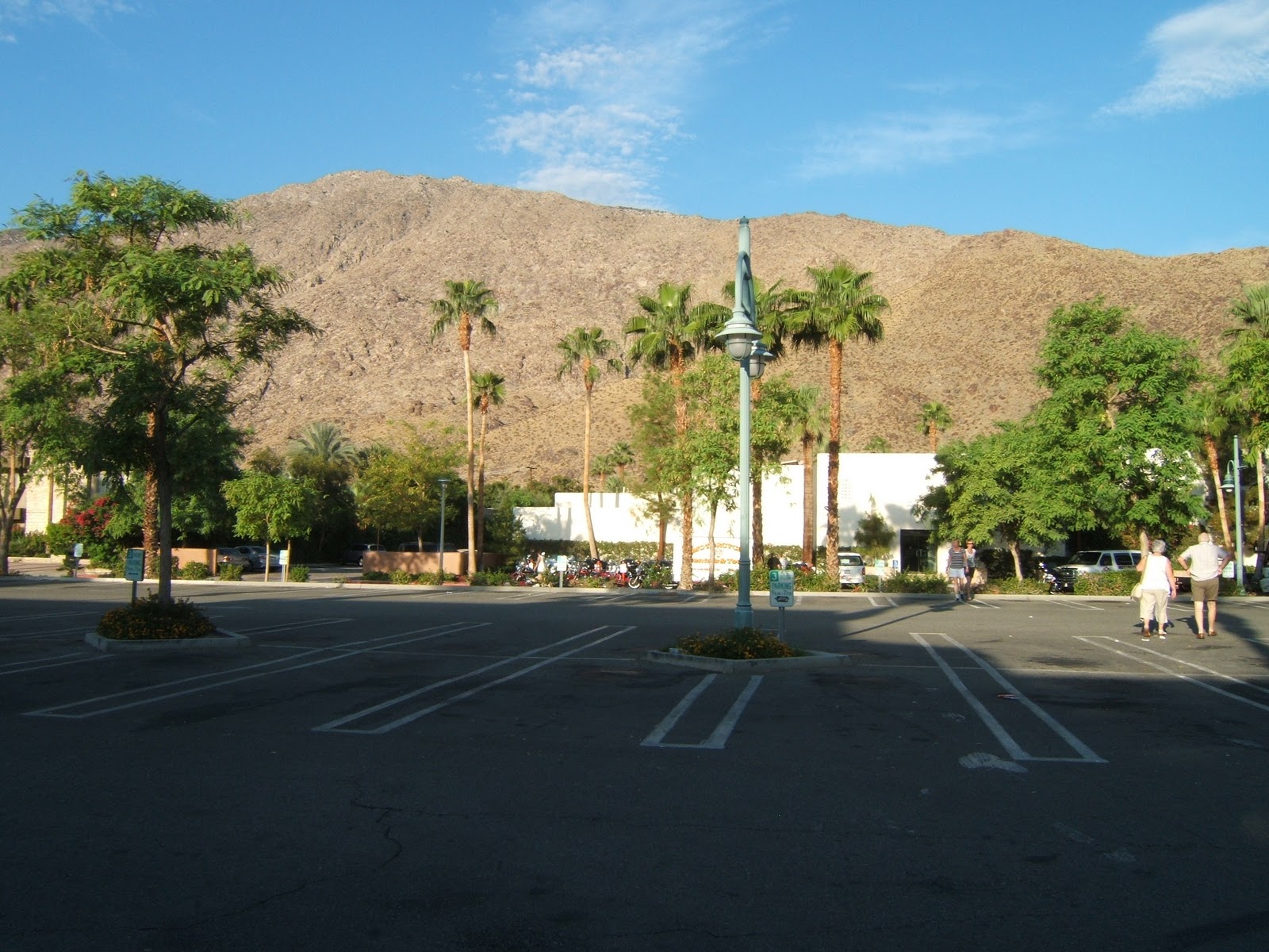 Bmw palm spring #7