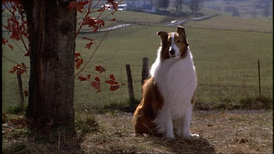 Lassie 1994 Movie Image 11