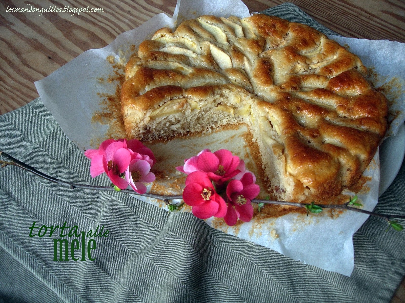 una semplice torta di mele..un po' speciale