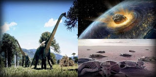 Pengertian, Contoh, Faktor Yang Mempengaruhi Seleksi Alam