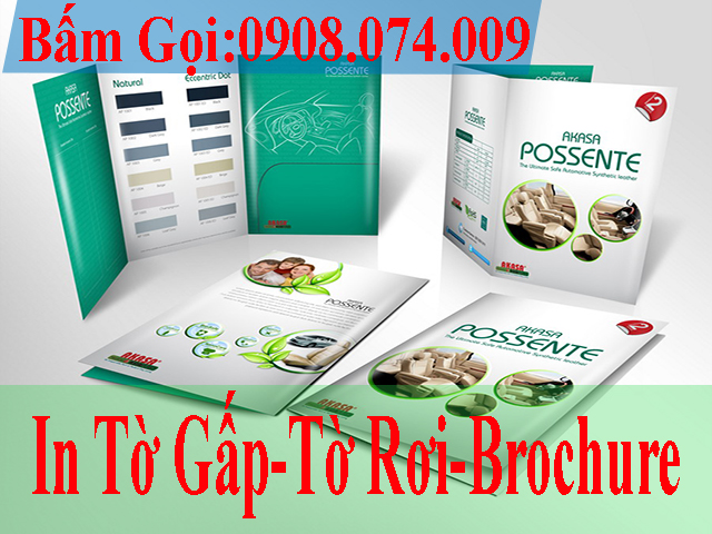 in to roi,in to gap,brochure