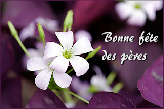 ENVIE D'UNE IDÉE CADEAU POUR LA FÊTE DES PERES QUI APPORTE LA SÉRÉNITÉ ENVIE D'UNE IDÉE CADEAU POUR LA FÊTE DES PERES QUI APPORTE LA SÉRÉNITÉ