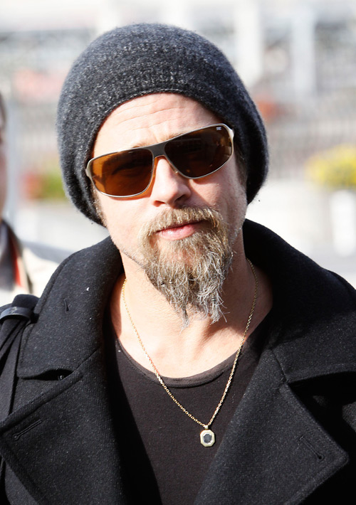 Facial Hair Styles Facial Hair Styles of Brad Pitt