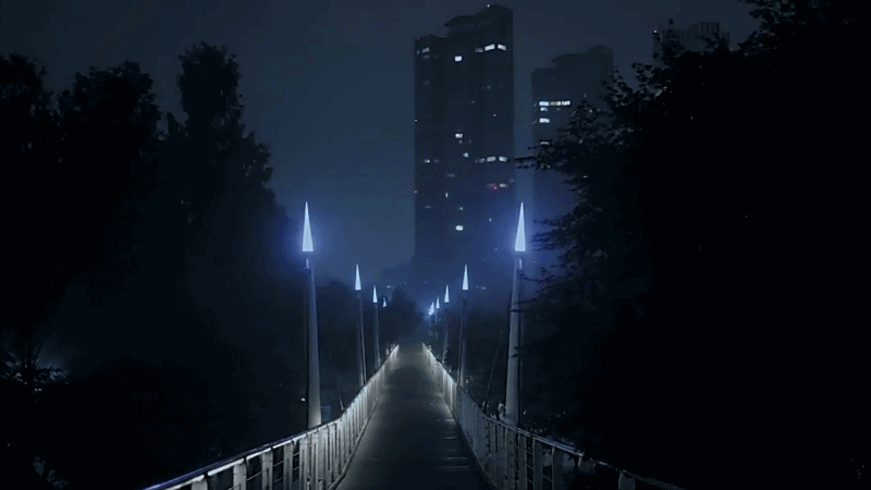 비 내린 새벽 2시 서울숲 풍경 - 유머/이슈 - 꾸르 비 내린 새벽 2시 서울숲 풍경 - 유머/이슈 - 꾸르