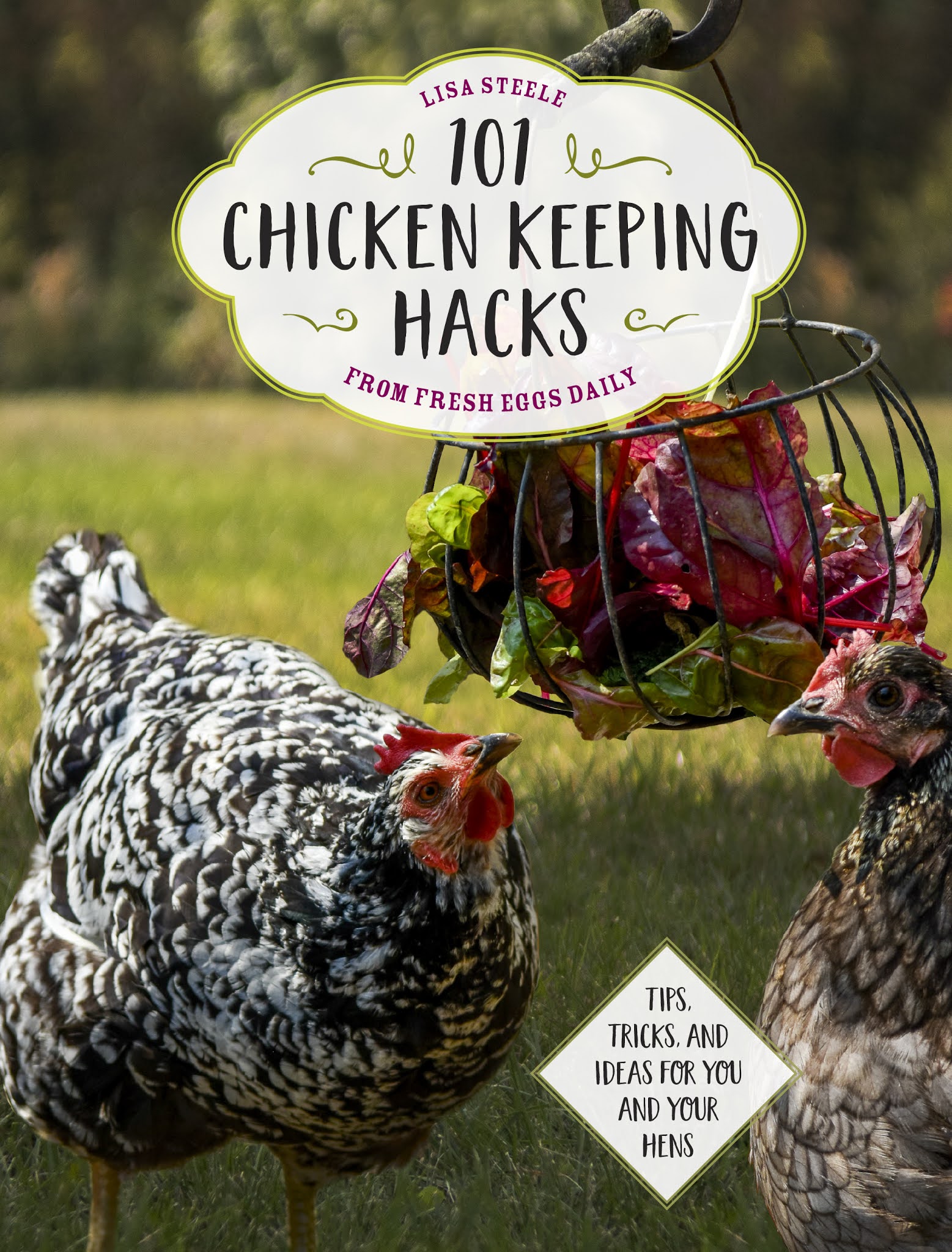 Homemade Suet Cakes for Chickens Fresh Eggs Daily® with Lisa Steele