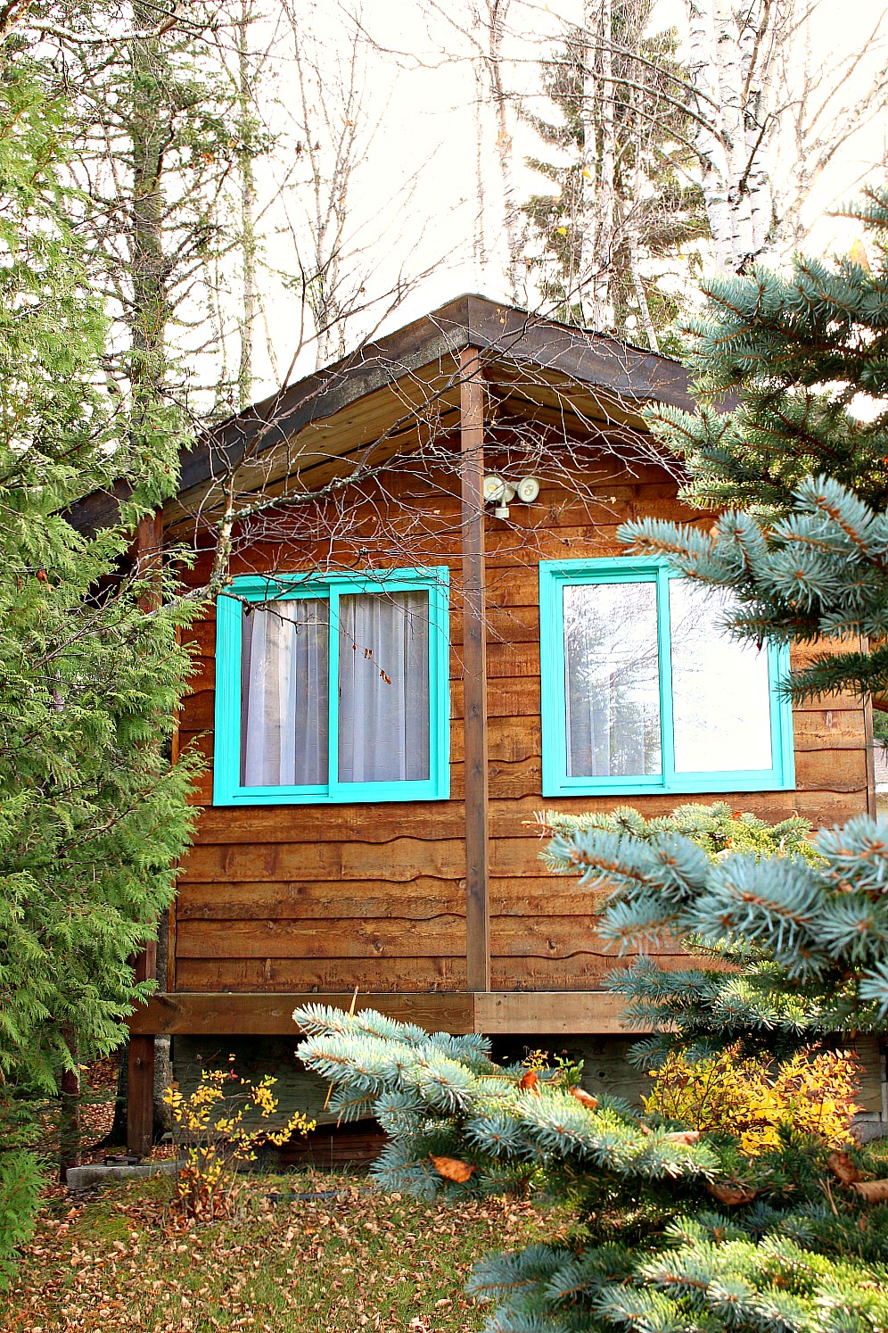 Scandinavian Inspired Bunkie Guesthouse Makeover