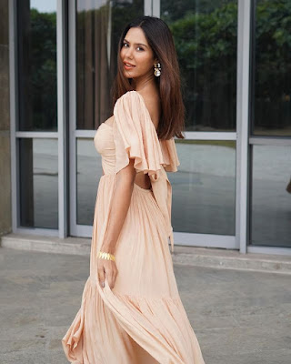 Sonam Bajwa picture
Sonam Bajwa Wiki, Biography, Photos, Height, Weight, Age, Affairs, Net worth & More