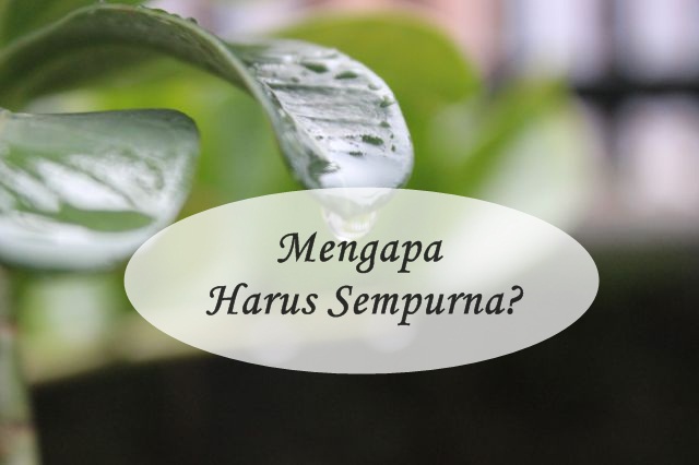 Mengapa Harus Selalu Berusaha Sempurna?