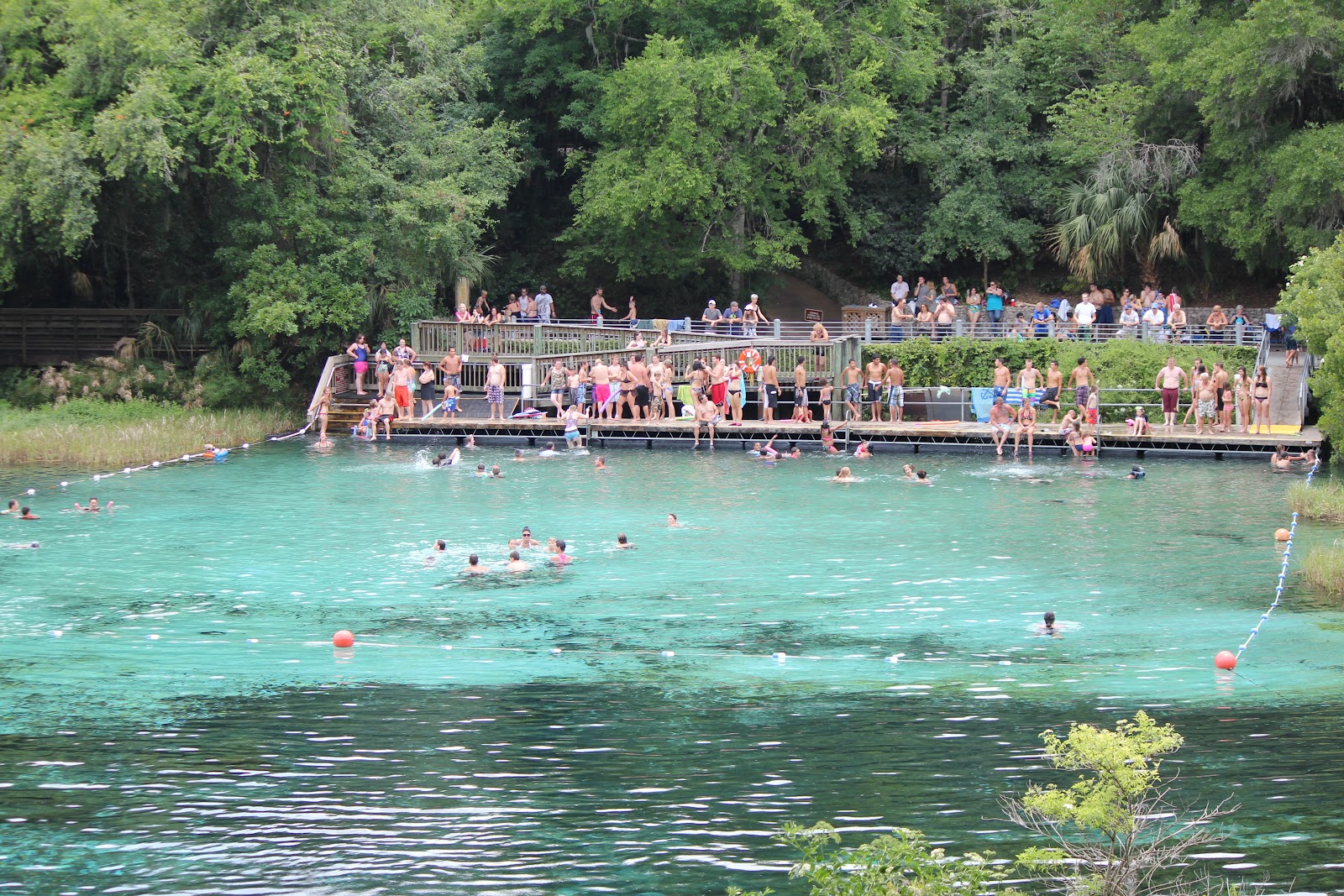Views From Our Kayak Rainbow River