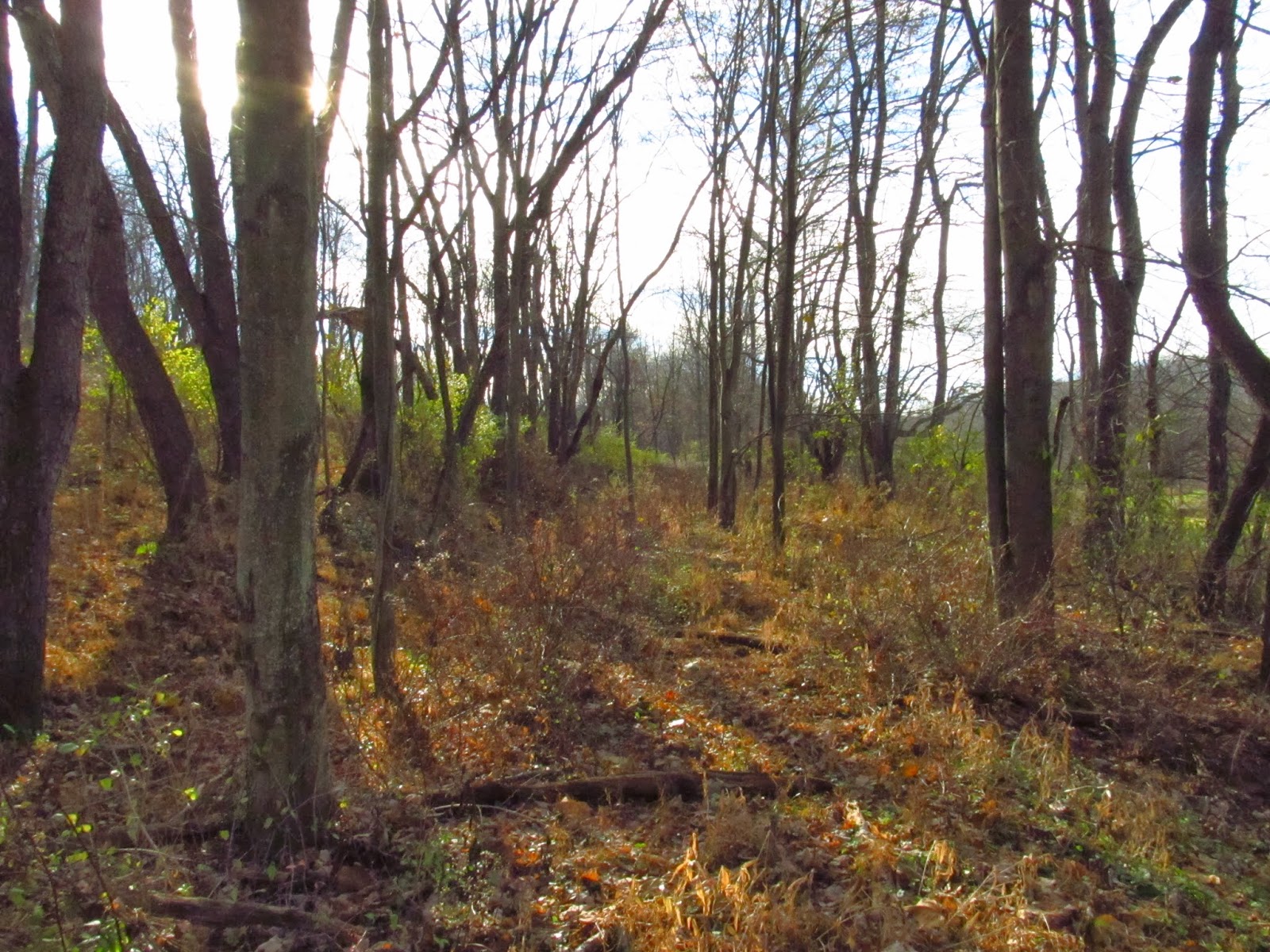 Old Industry of Southwestern Pennsylvania Turtle Creek Branch of The