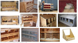 nesting should chicken box coop boxes