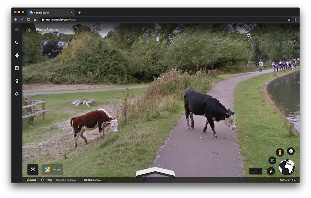 Google Earth Screenshot, der Kühe auf einer Straße zeigt