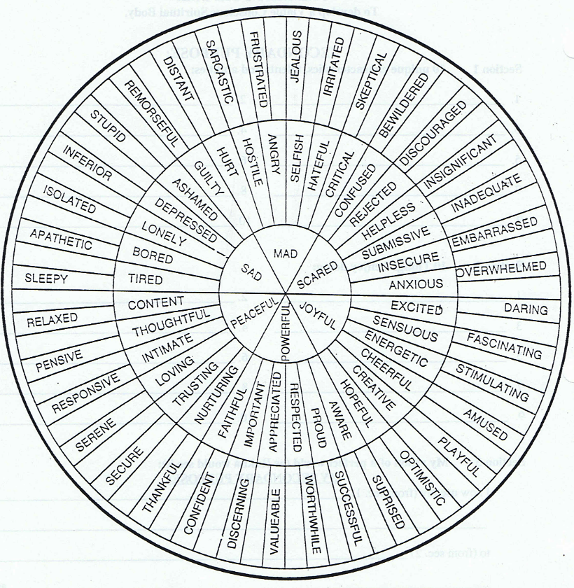 Gloria Willcox feelings wheel