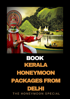 kerala honeymoon packages from delhi