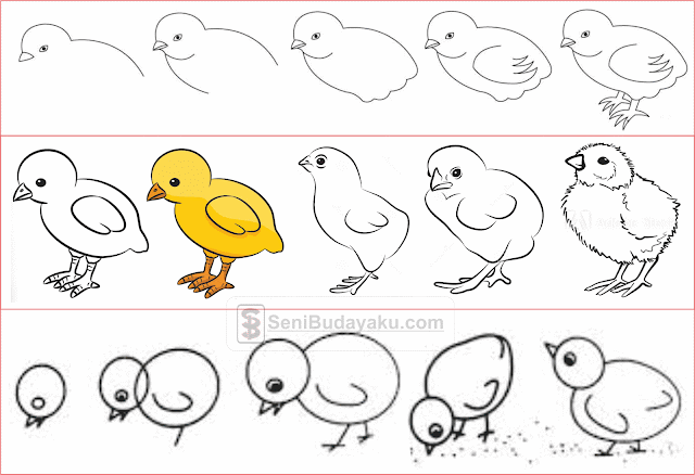 cara menggambar anak ayam