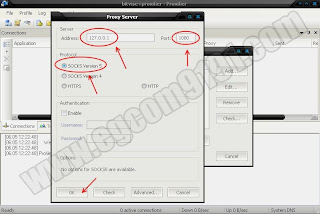 Setting Host Dan Port Proxifier