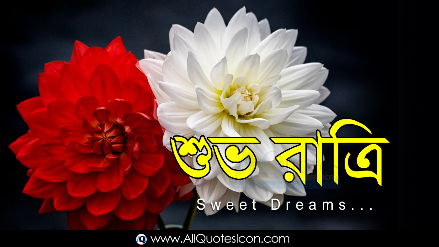 Top Bengali Good Night Images HD Wallpapers Top Good Night Greetings in