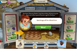 coop rooster guide booster chickens bottles feed 1st