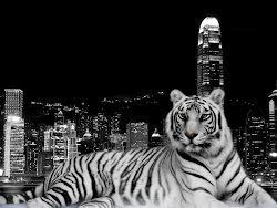tiger amazing tigers animals bengal background desktop wallpapers stylish cool dark