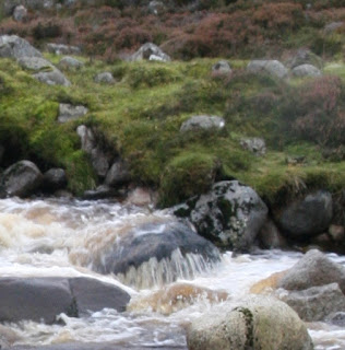 SGA latest news photo