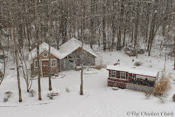 winter chicken chickens cold weather care chick survive mistakes unique flock coops focus friday avoid better than much featuring brinsea