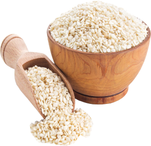 Exporter of White Sesame seeds in India