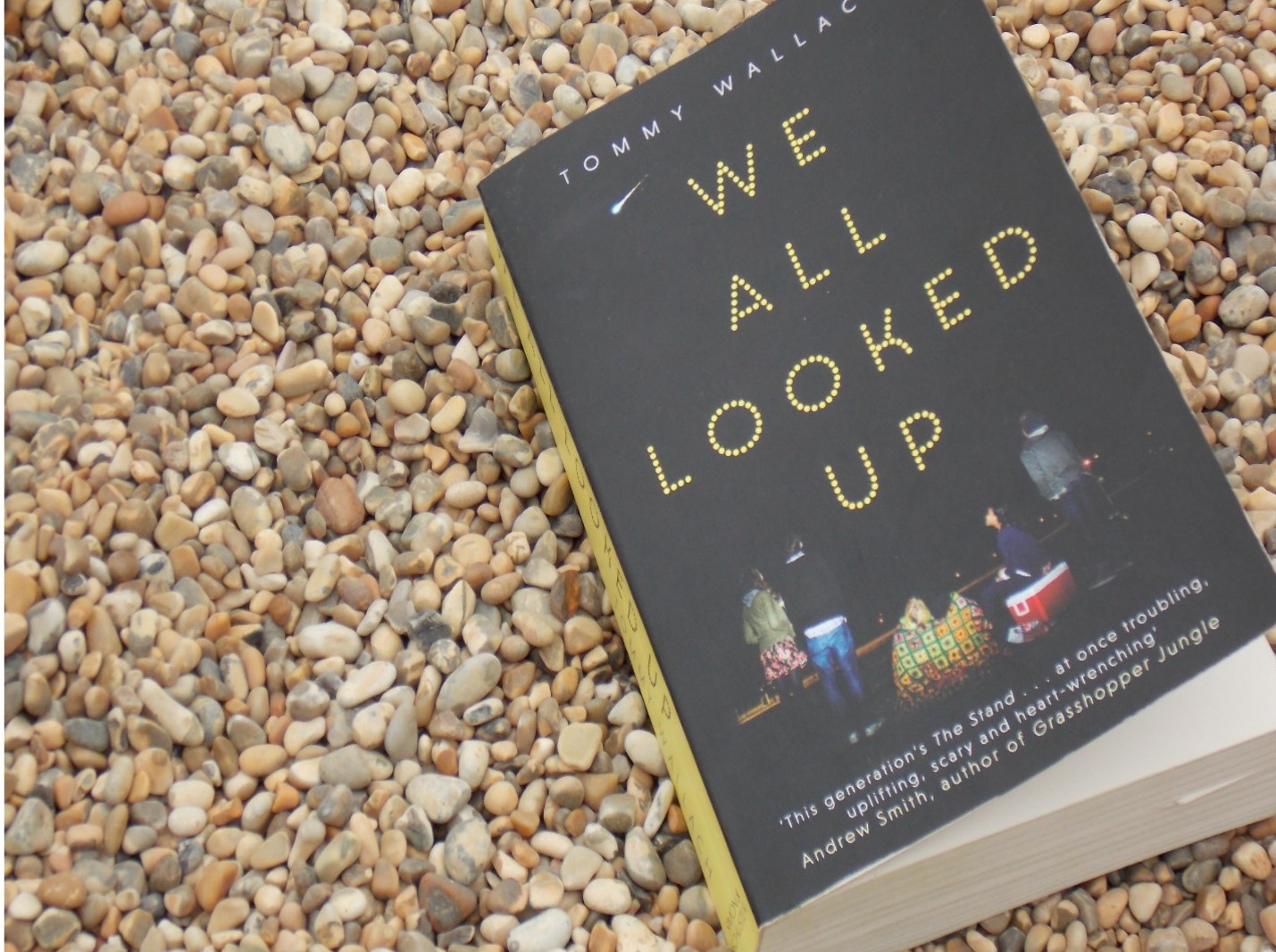they all looked up book they all looked up book