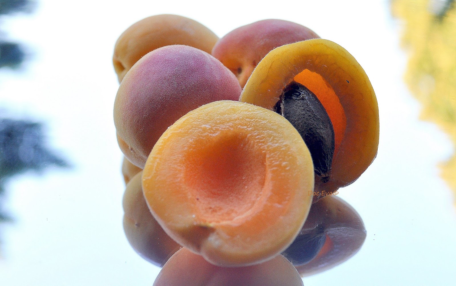 Aprikosenriemchen Rezept - Dies´und Das Und Süsse Sachen...: Aprikosen-sahne-karamell