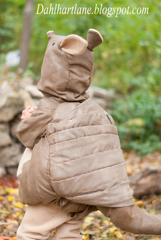 Dahlhart Lane Armadillo Costume