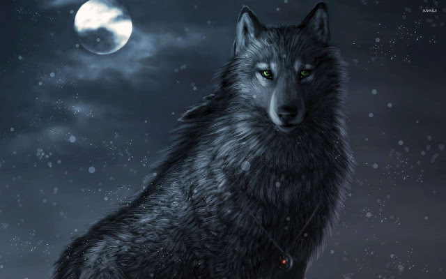 dark wolf wallpaper