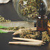 Best 50 Classified Ads Link For Buying Marijuana In Canada