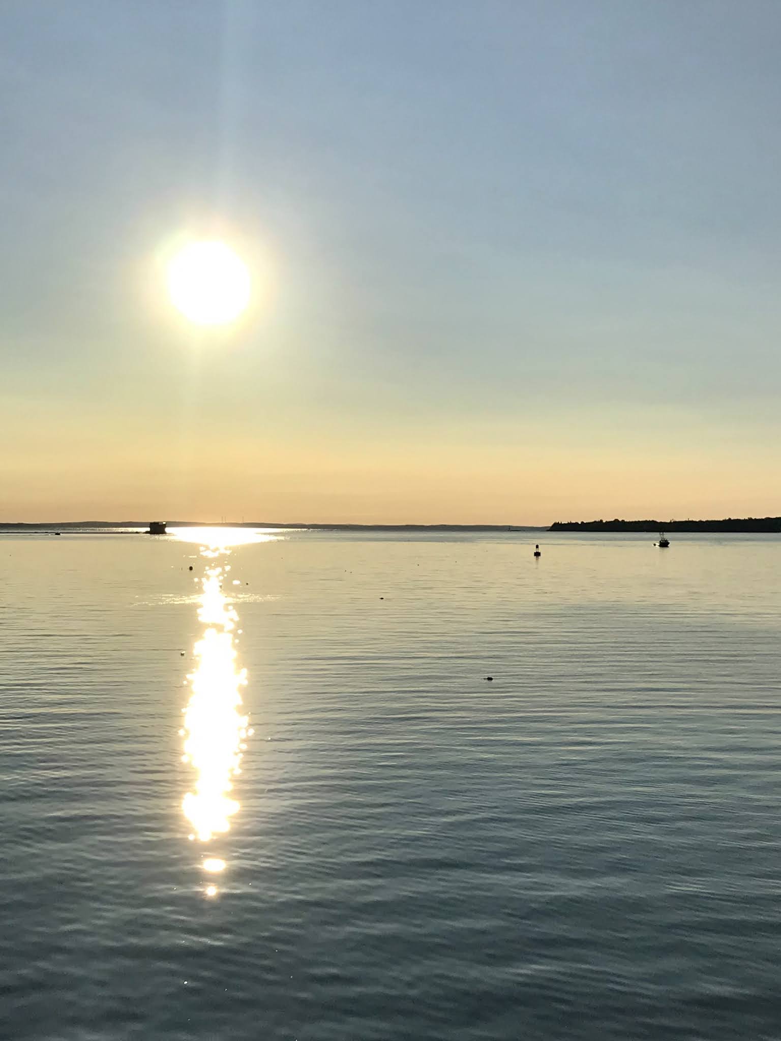 Vinalhaven Sightings