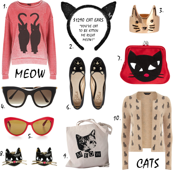 Funny cats clothes with cats