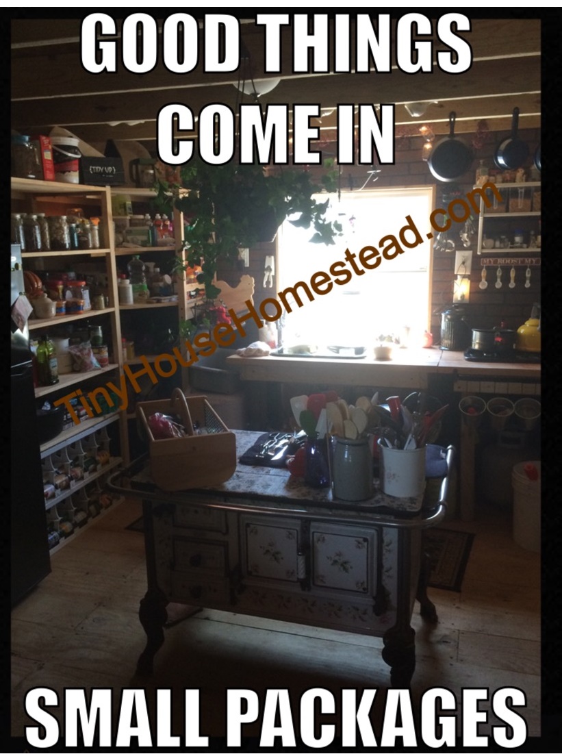 Tiny House Homestead: A Blog About Living Tiny