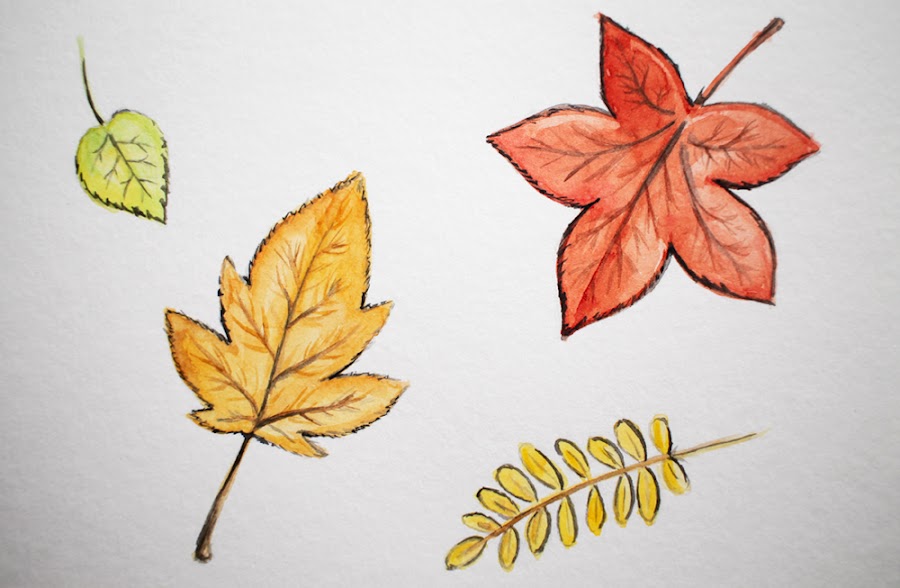 Dibujando experimentando acuarela dibujo otoño