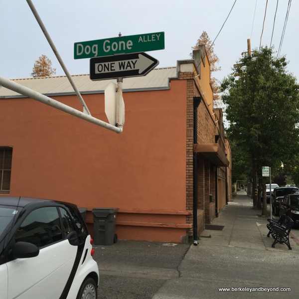 Dog Gone Alley in Woodland, California Dog Gone Alley in Woodland, California