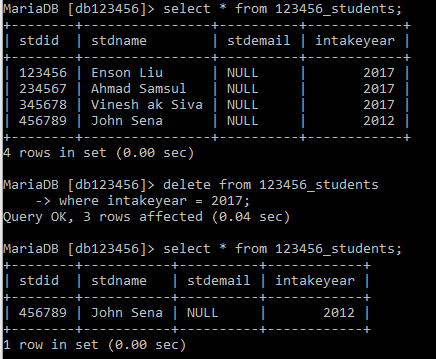 Database Laboratory: Delete Data from Table
