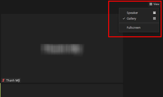 Tùy chỉnh chế độ xem Speaker hoặc Gallery trên Zoom