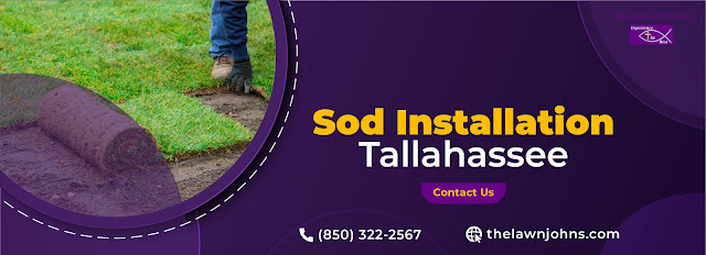 Sod installation Tallahassee