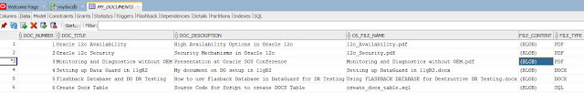 SQL Developer view