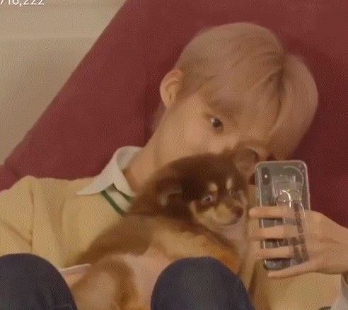 어제자 댕댕이랑 만난 인간 댕댕이 남돌 | 인스티즈