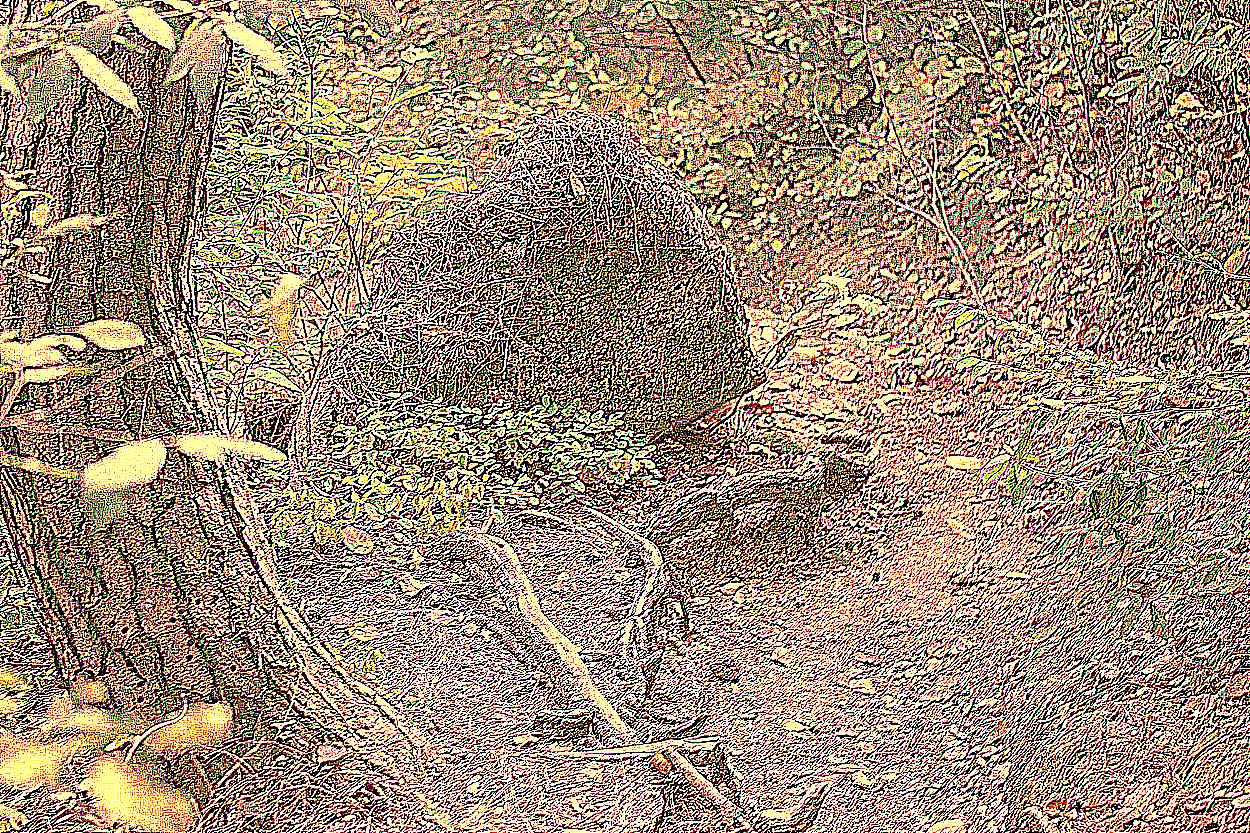 예산 덕숭산 수덕사 예산 덕숭산 수덕사