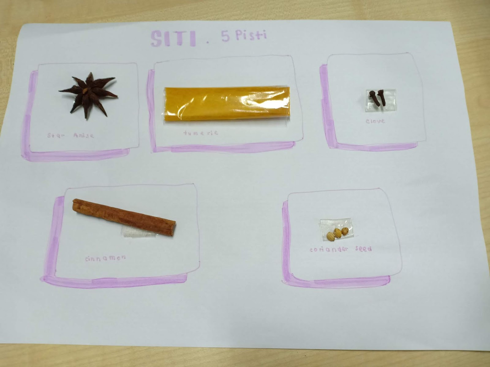 Social Studies Year 5 Learn Anywhere