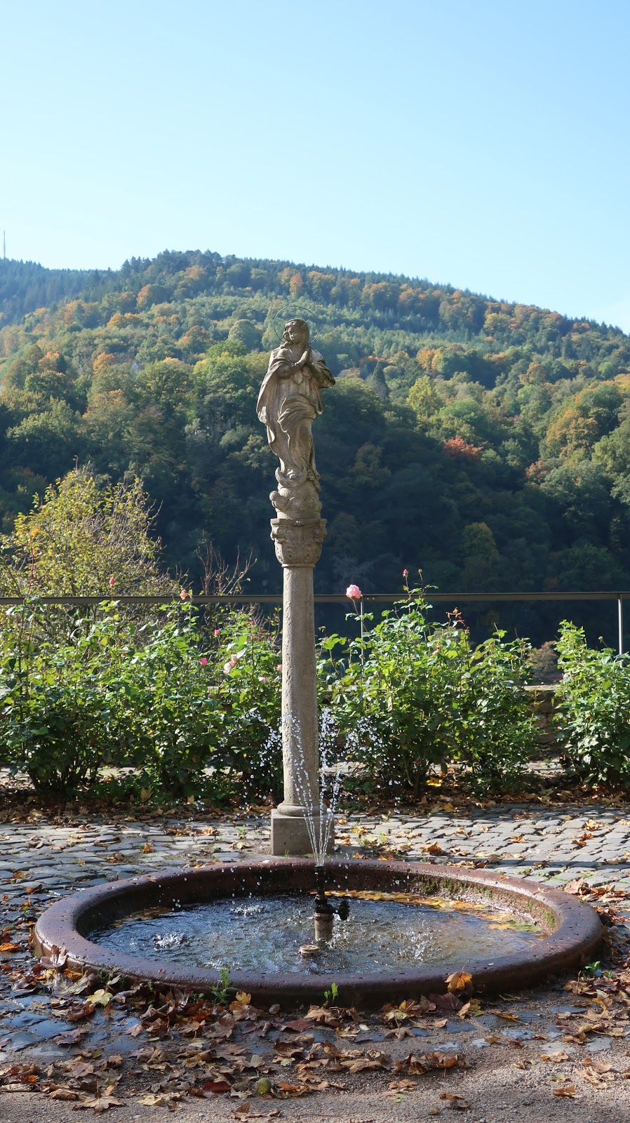 Das Kloster Neuburg bei Heidelberg