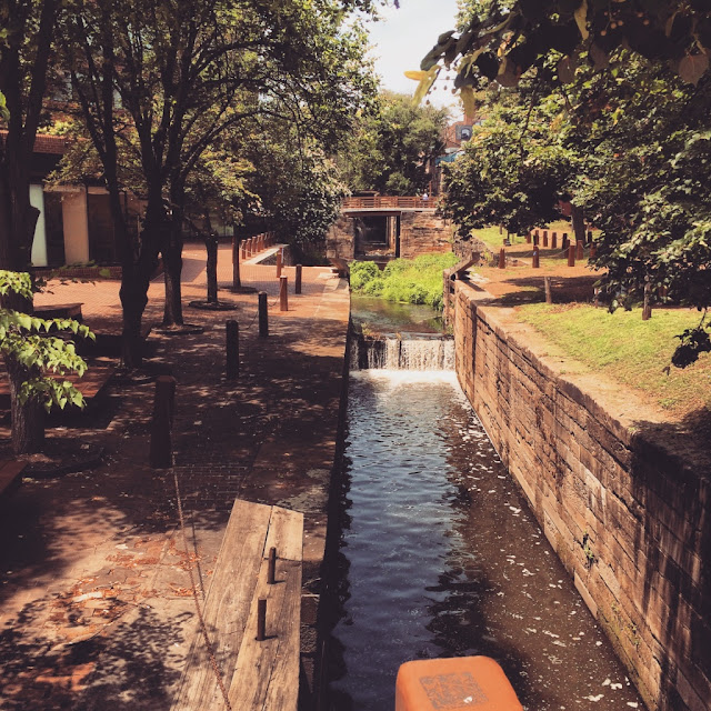 georgetown shopping