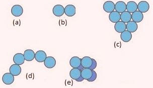 Lengkap - Soal Bakteri Mapel Biologi Kelas 10 SMA/MA - Bospedia